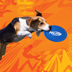 Nerf Dog disque flottant sur l'eau idéal pour plage lac et piscine