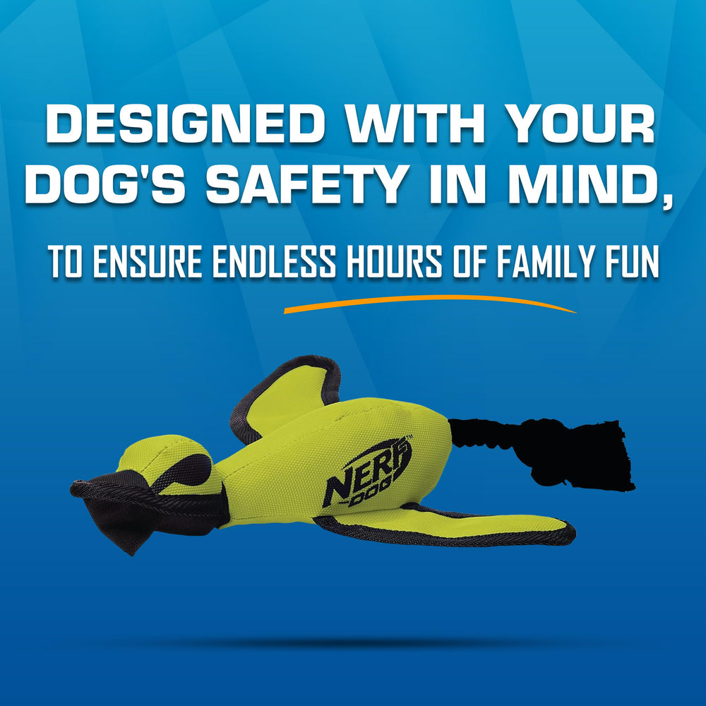 Nerf Dog echelle taille comparaison montrant dimensions et avantage adéquation