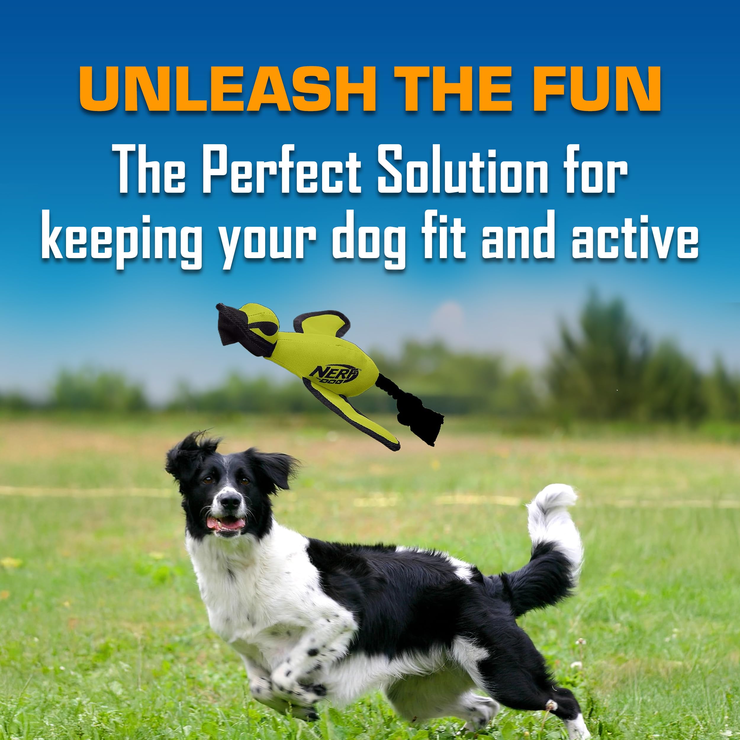 Nerf Dog en vol action montrant portée élevée et avantage stimulation