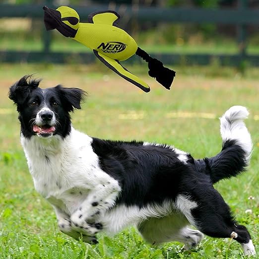 Nerf Dog etiquette informations montrant consignes et avantage sécurité