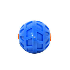 Nerf Dog football tenu en main montrant flottabilité et résistance pour jeux aquatiques