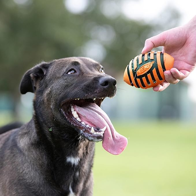 Étiquette Nerf Dog sur le football affichant consignes de sécurité claires