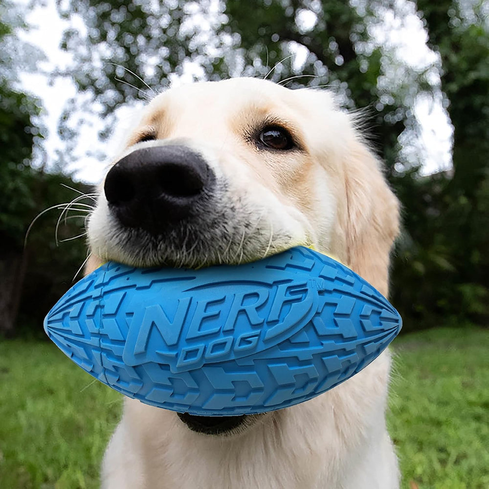 Nerf Dog session de fetch au parc, stimulant l'exercice et interaction