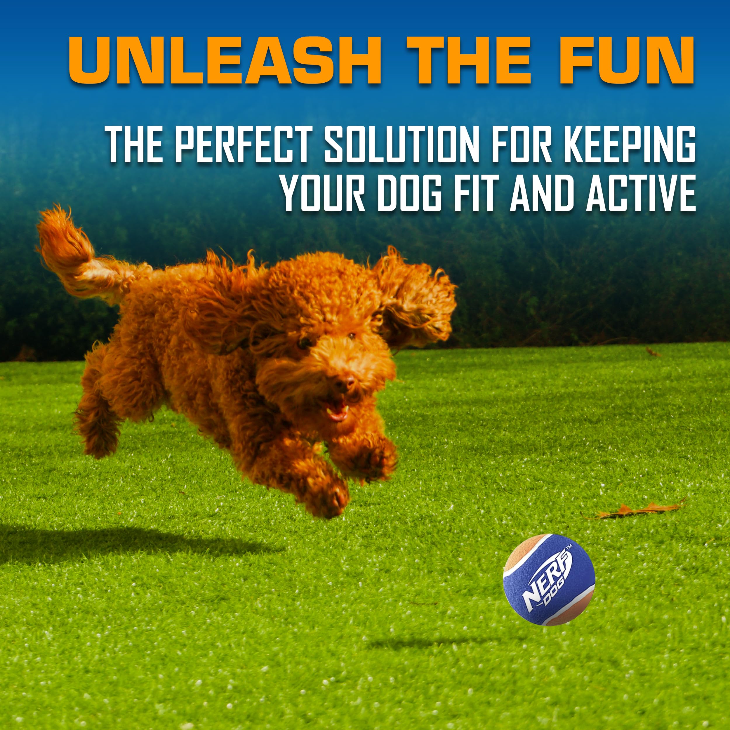 Nerf Dog lanceur en action dans un parc pour jeux de rapport rapides