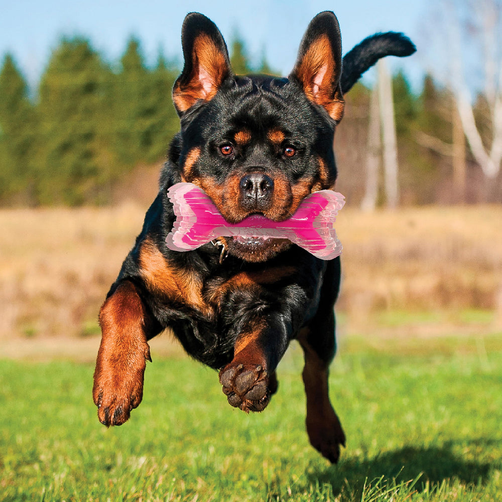 Nerf Dog gros plan texture TPR et noyau plein, résistance et prise sécurisée