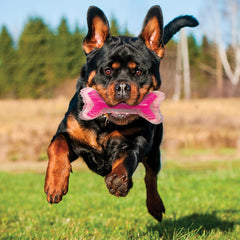 Nerf Dog gros plan texture TPR et noyau plein, résistance et prise sécurisée