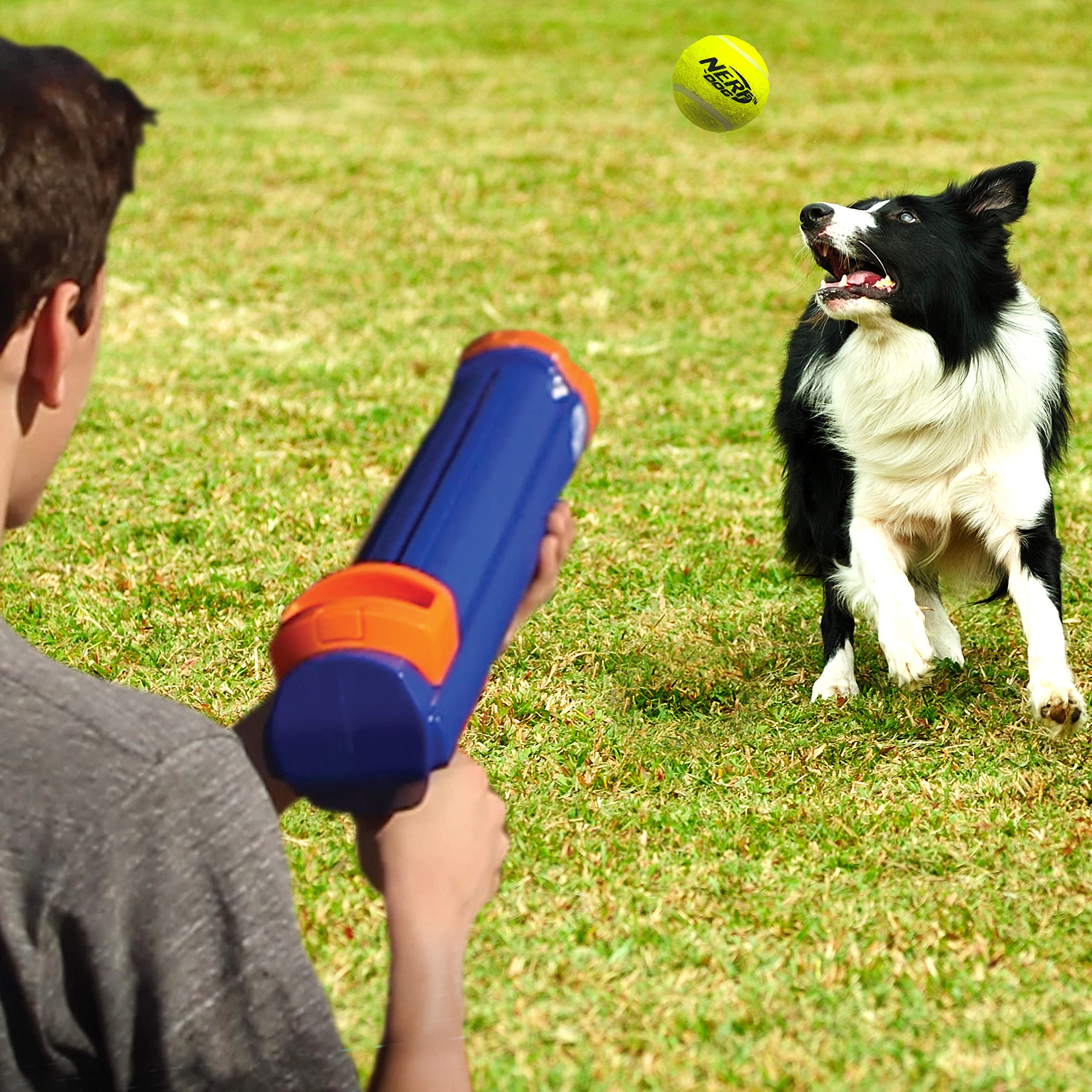 Nerf Dog gros plan texture et matériau robuste assurant durabilité