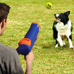 Nerf Dog gros plan texture et matériau robuste assurant durabilité