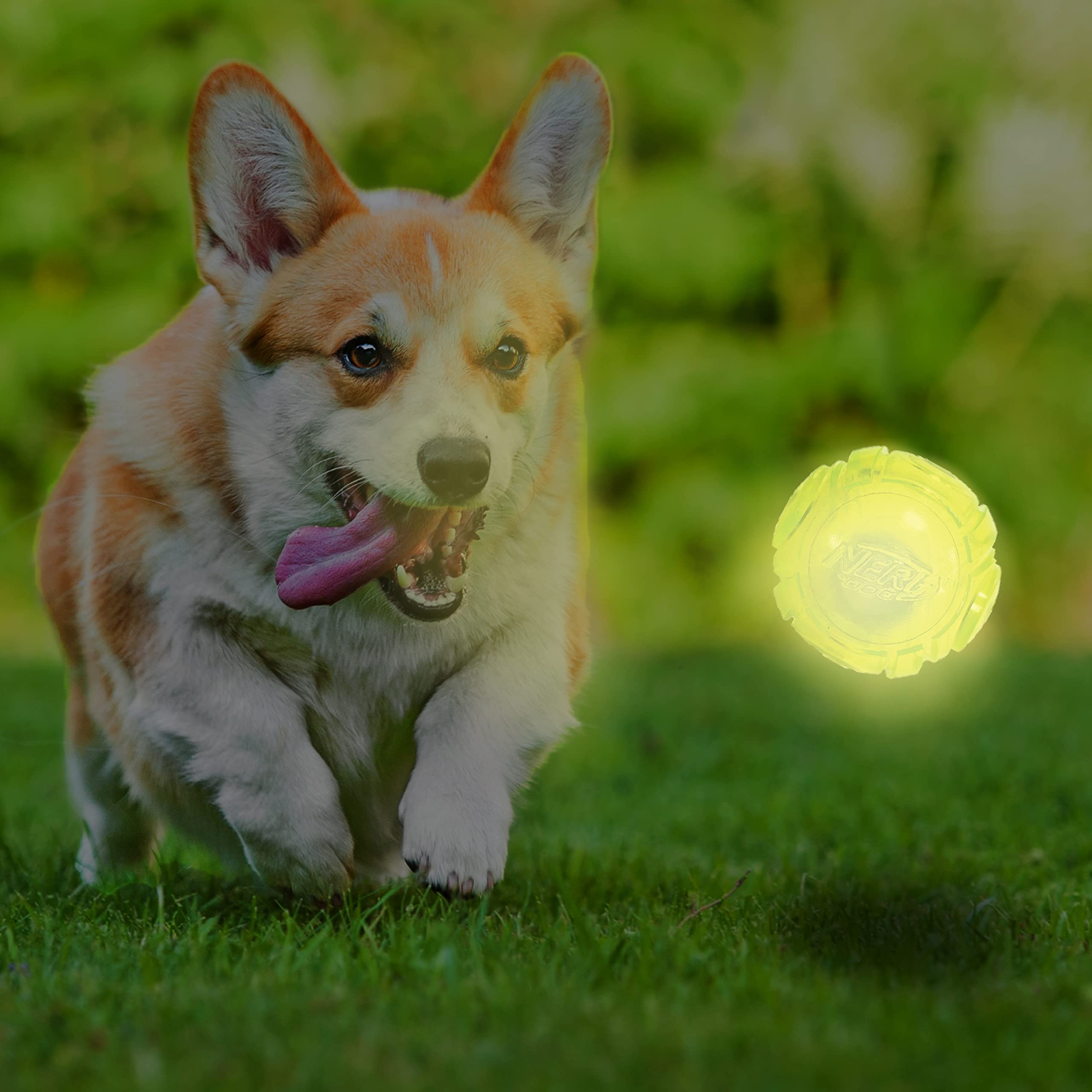 Nerf Dog gros plan sur rainures offrant meilleure prise et nettoyage