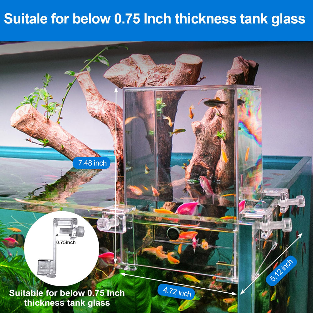 NestBasics zoom matériau PC transparent offrant visibilité claire des poissons