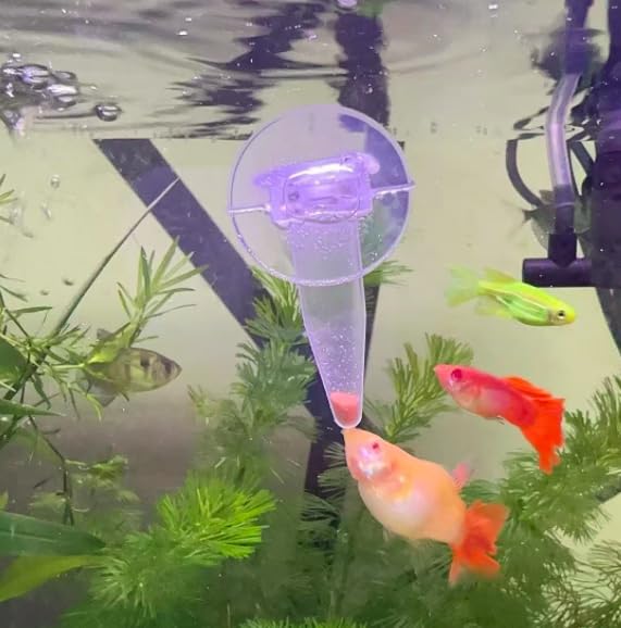 NestBasics incubateur installé dans aquarium démontrant usage simple et gain de temps