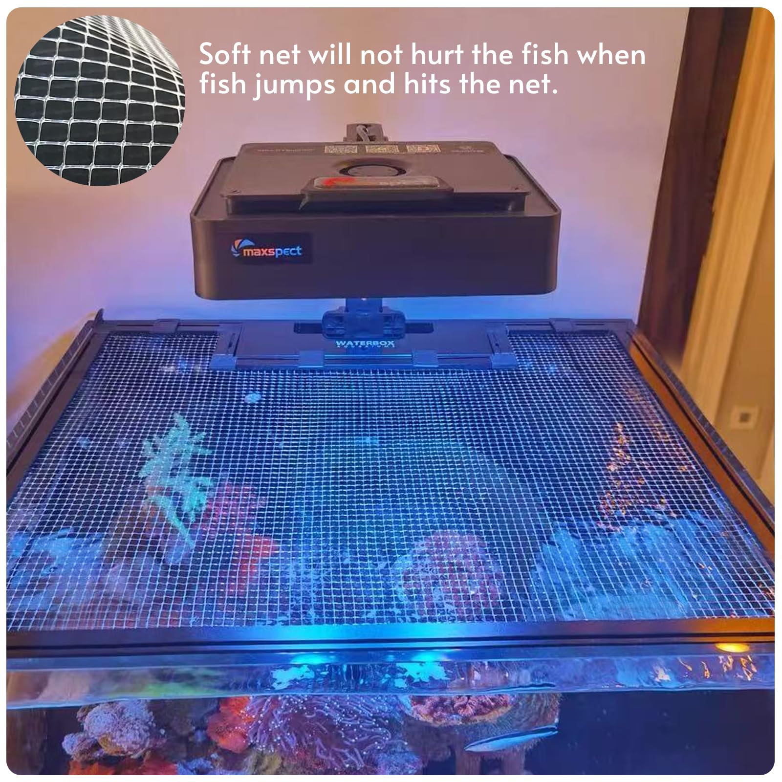 NestBasics filet posé sur un aquarium en usage, empêche les sauts de poissons