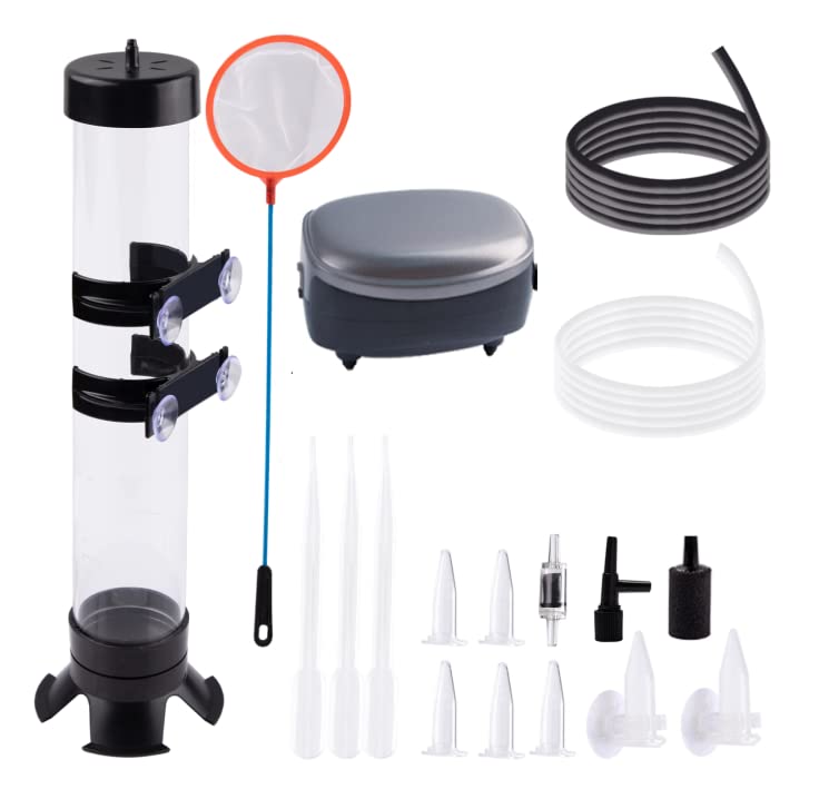 NestBasics incubateur visible de face montrant compartiment transparent et contrôle pratique