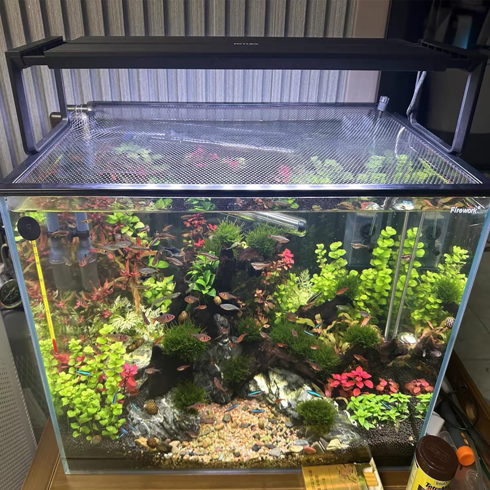NestBasics aquarium avec poissons protégés et bonne circulation d'air