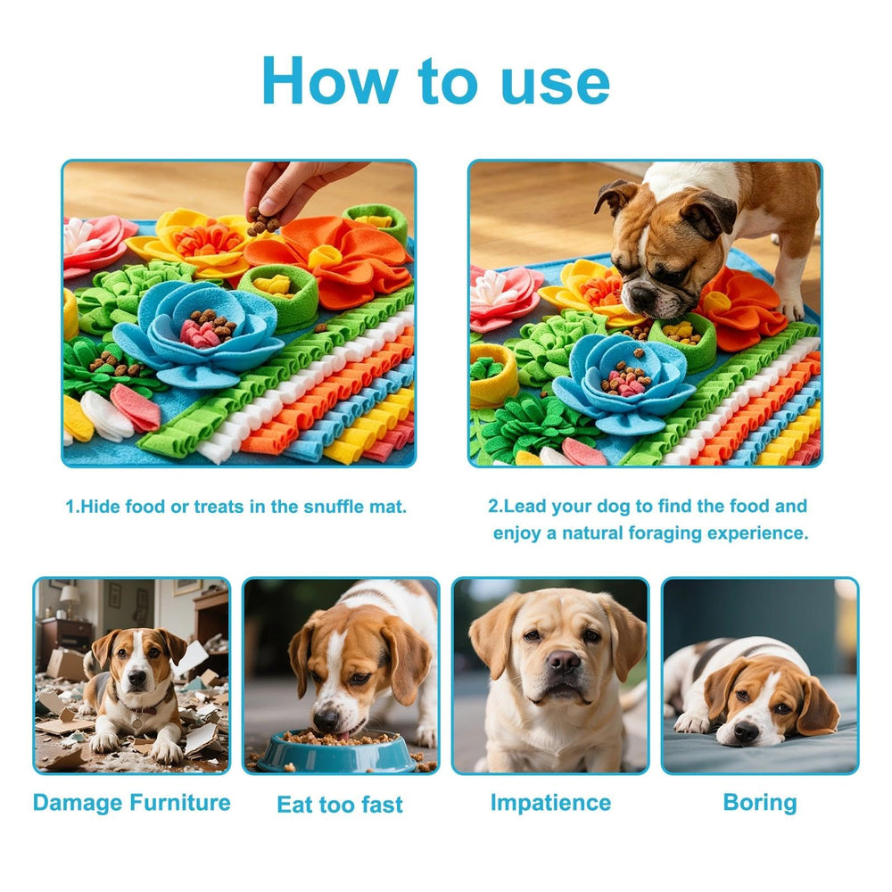 nestery comparaison taille montrant dimensions adaptées aux grands chiens