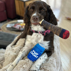 Nestpark Pups Blue Rubbin vue avant, couineur attractif pour chien