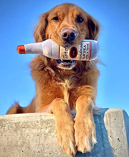 Nestpark Toto's chiot jouant dehors, divertit et stimule l'exercice
