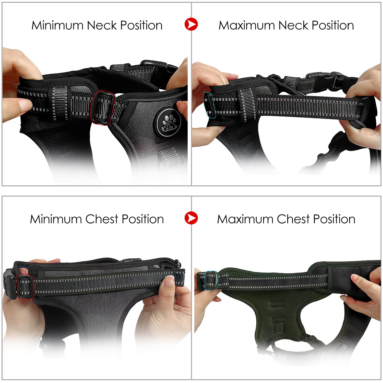 NESTROAD ensemble avec laisse, ceinture rétractable et sangle de rangement pratique