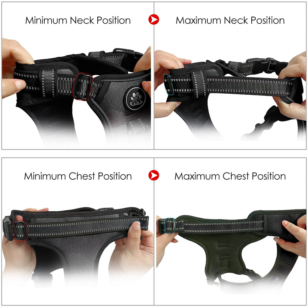 NESTROAD ensemble avec laisse, ceinture rétractable et sangle de rangement pratique