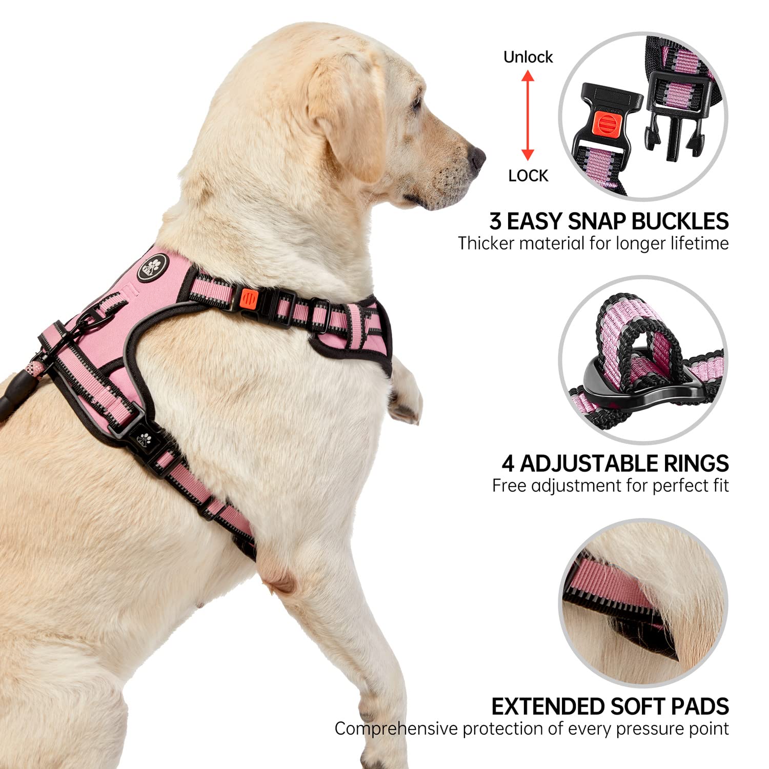 NESTROAD harnais détail du rembourrage protégeant la peau du chien