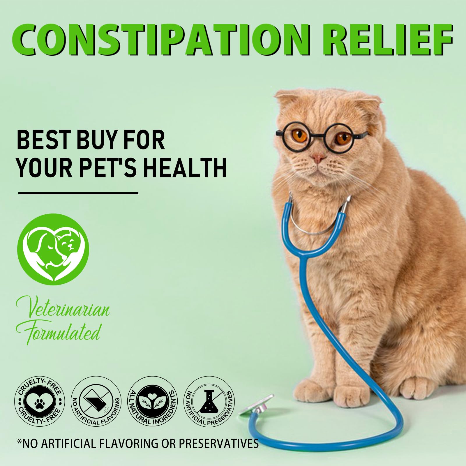 Netwik produit en situation maison évoquant calme et bien-être du chat