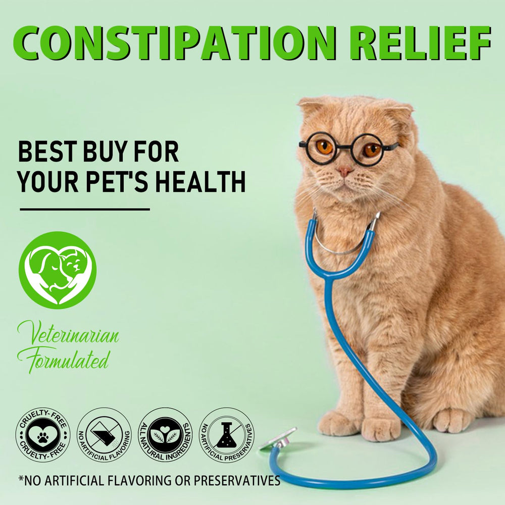 Netwik produit en situation maison évoquant calme et bien-être du chat