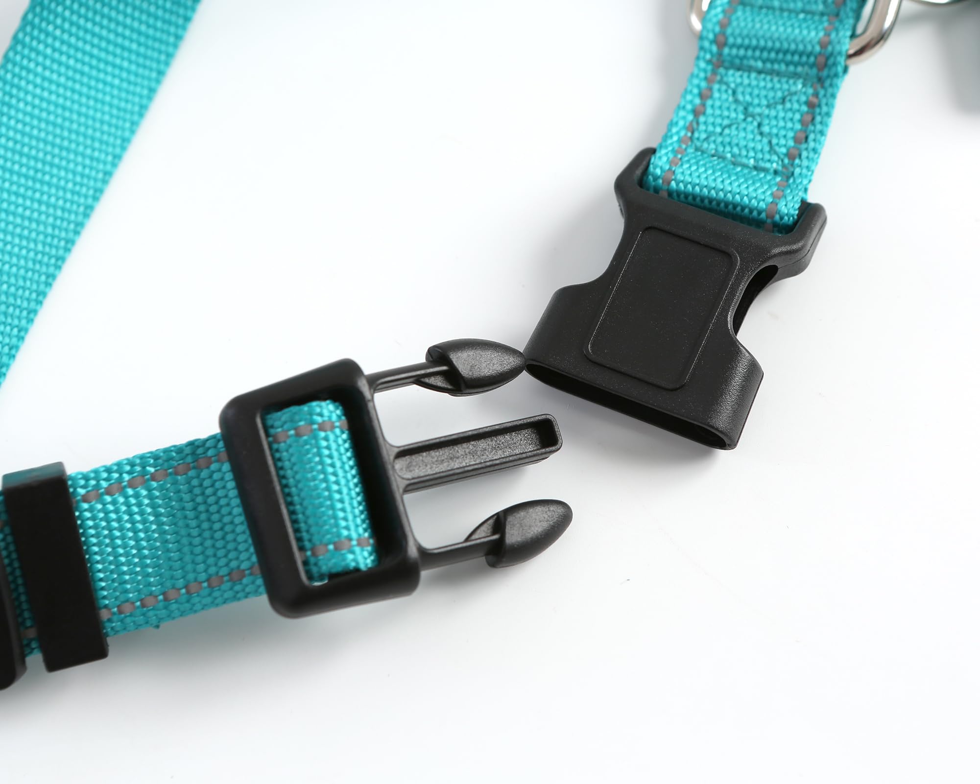 Neujiwo collier porté par chien en extérieur, confort et maintien visibles