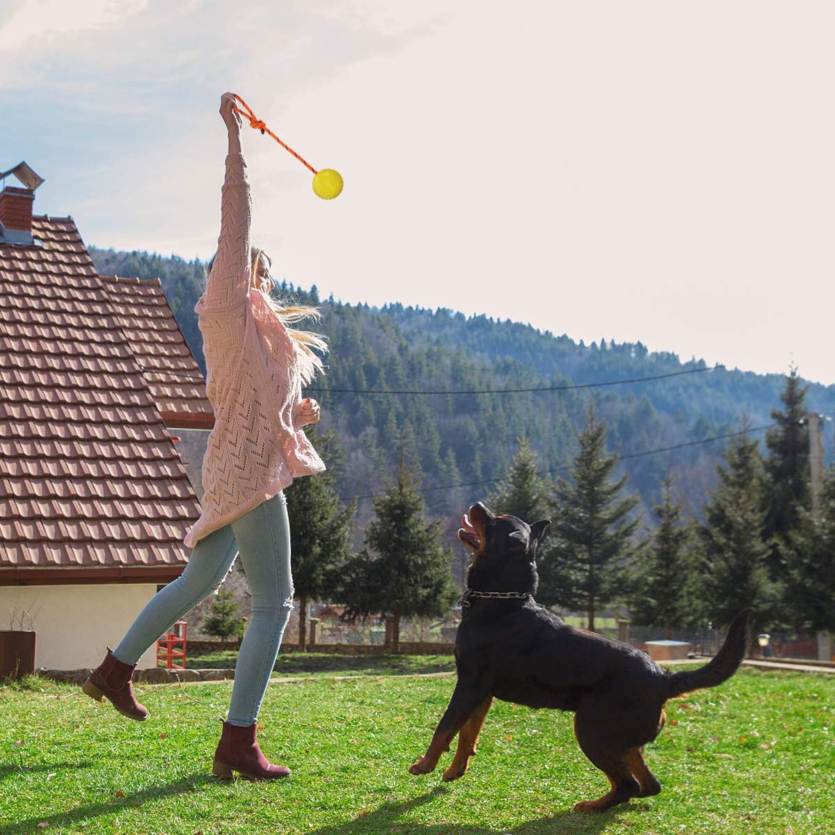 Nevperish comparaison taille avec main montre adaptation chiens moyens
