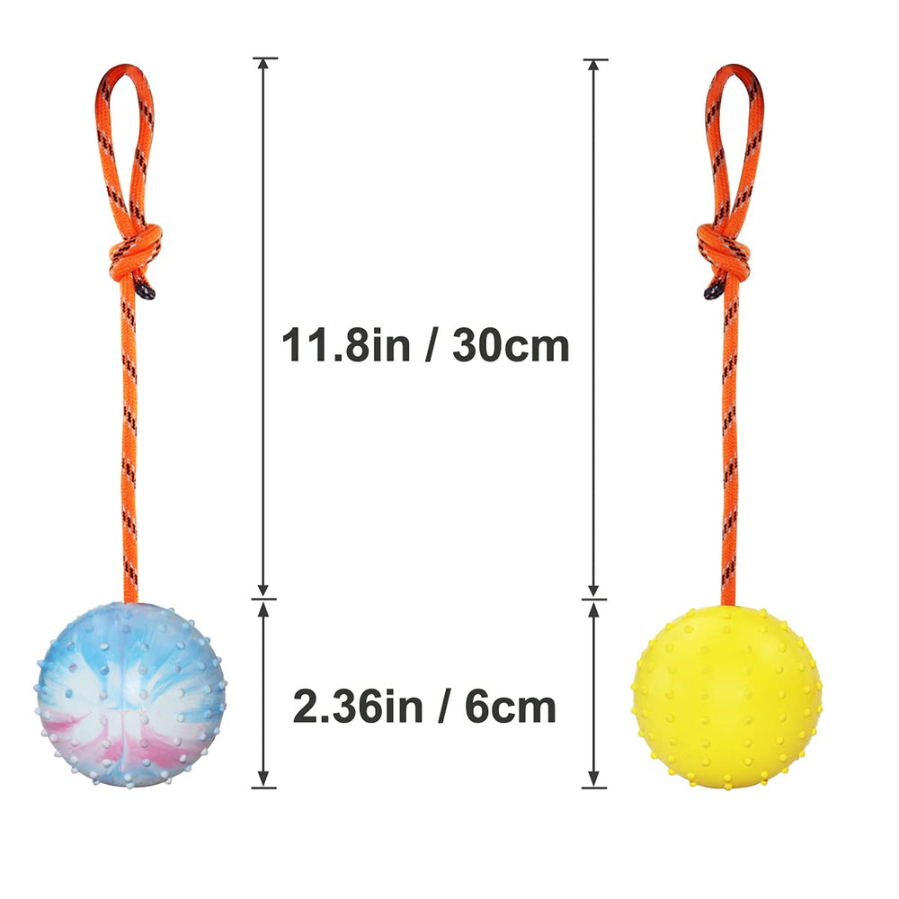 Nevperish environnement sport chien illustre utilisation en entraînement