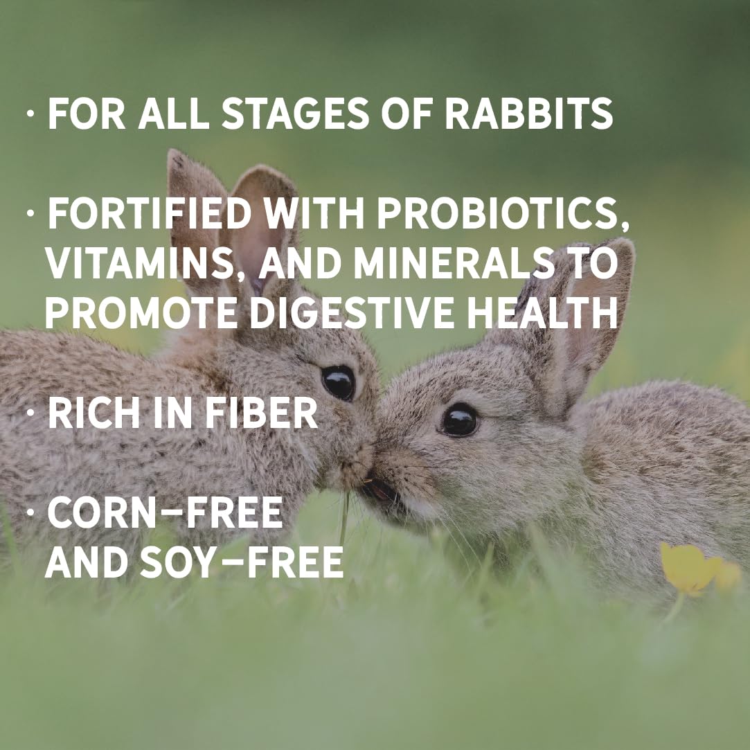 New Country Organics lapin qui mange montrant appétence et bien-être
