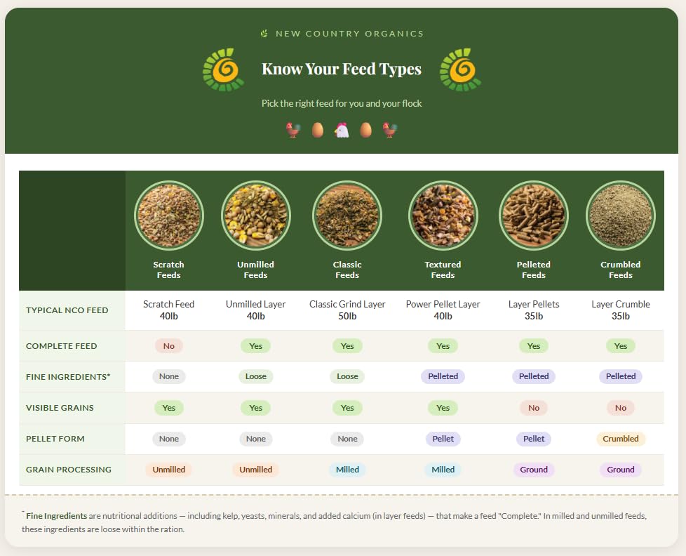 New Country Organics poule mangeant, bénéfice appétence et ponte régulière