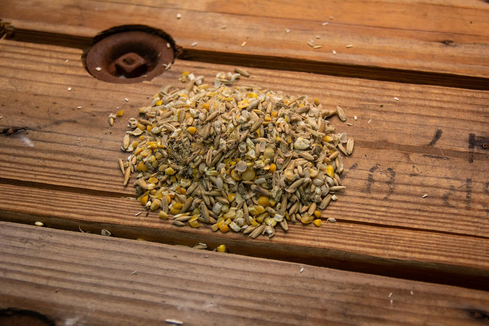 New Country Organics gros plan farine et grains, bénéfice texture nutritive