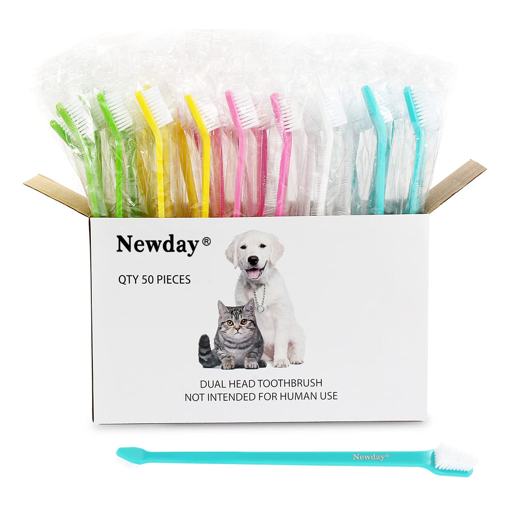 Newday emballage boîte 50 brosses, lot économique et hygiénique