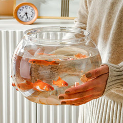 Newpol comparaison taille avec objet quotidien, idée d’échelle pratique