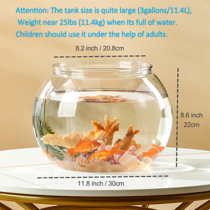 Newpol aquarium avec betta en usage, mise en valeur décorative