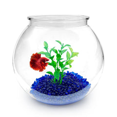 Newpol vue de face du mini aquarium, visibilité à 360°