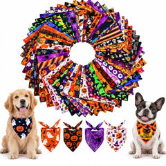Newwiee boîte de bandanas devant produit, grande quantité pratique