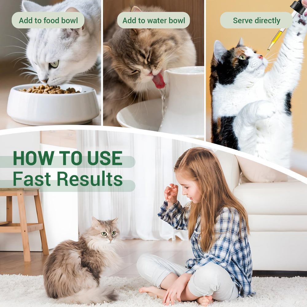 Nexalo rithu en contexte domestique pour retrouver confort et routine chez le chat