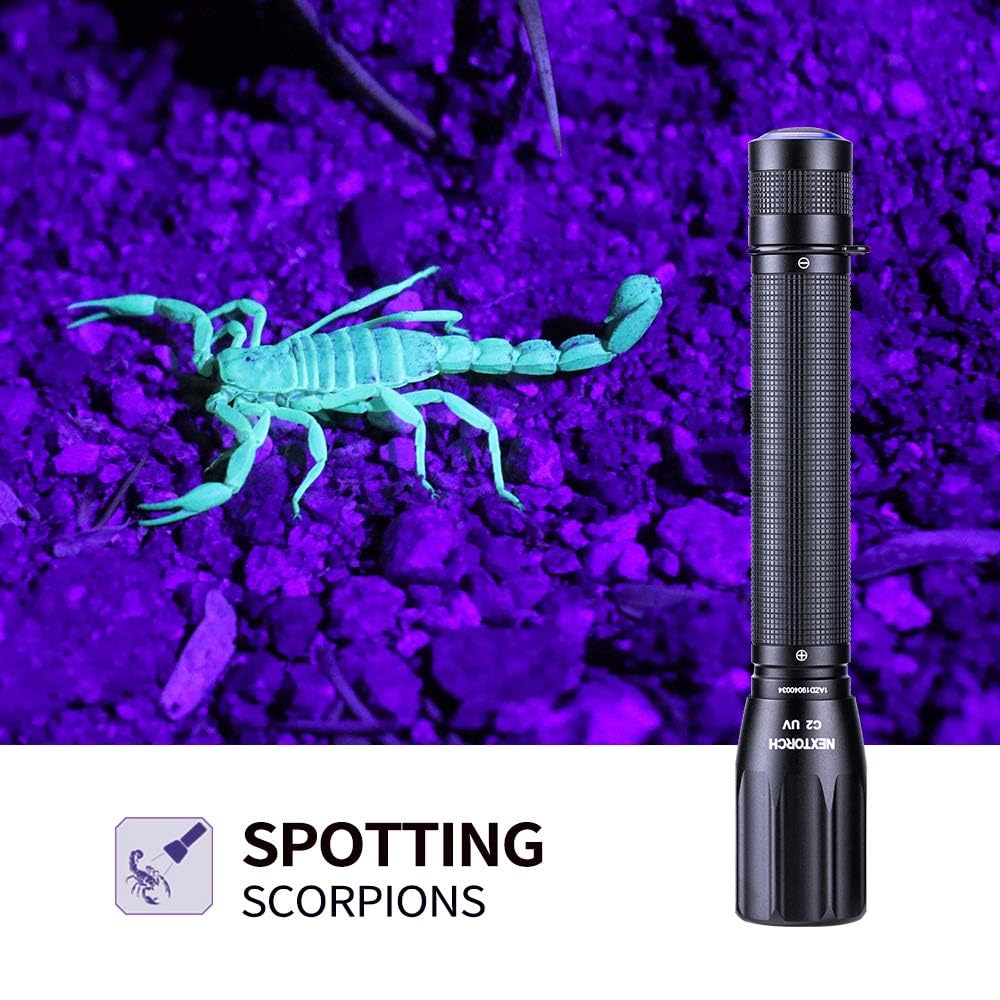 NEXTORCH C2UV en main pour visualiser sa taille et portabilité