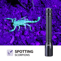 NEXTORCH C2UV en main pour visualiser sa taille et portabilité