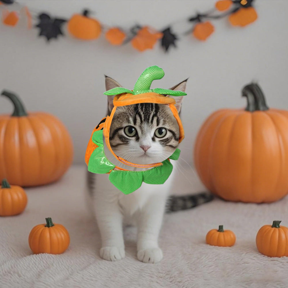 Ngdhkd petit chien portant l'ensemble Halloween ajusté et adorable