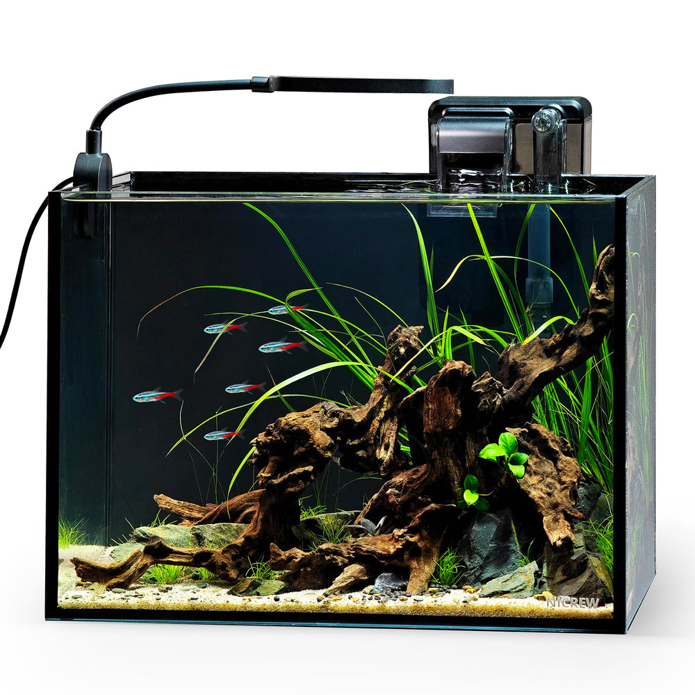 NICREW aquarium face complète noir montrant kit compact pour espace restreint