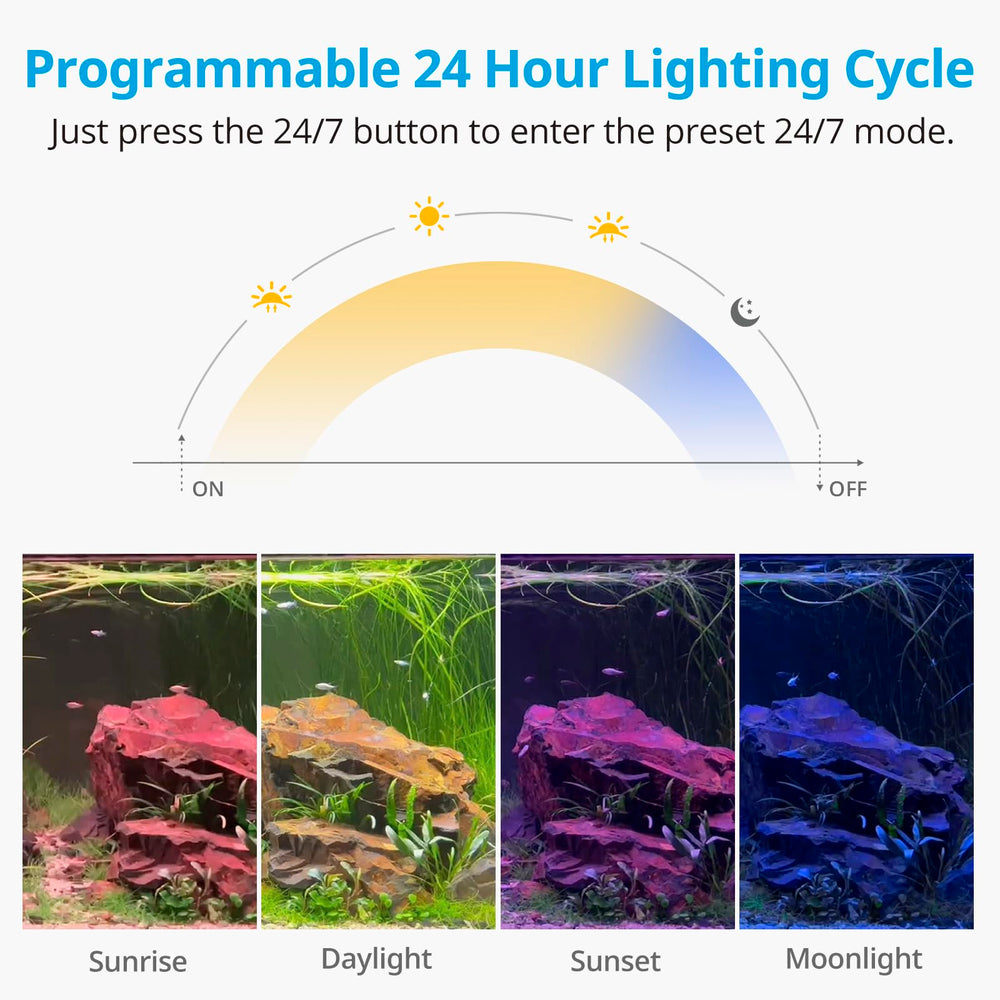 NICREW C10 gros plan sur LED et lentilles, détail des couleurs pour croissance des plantes