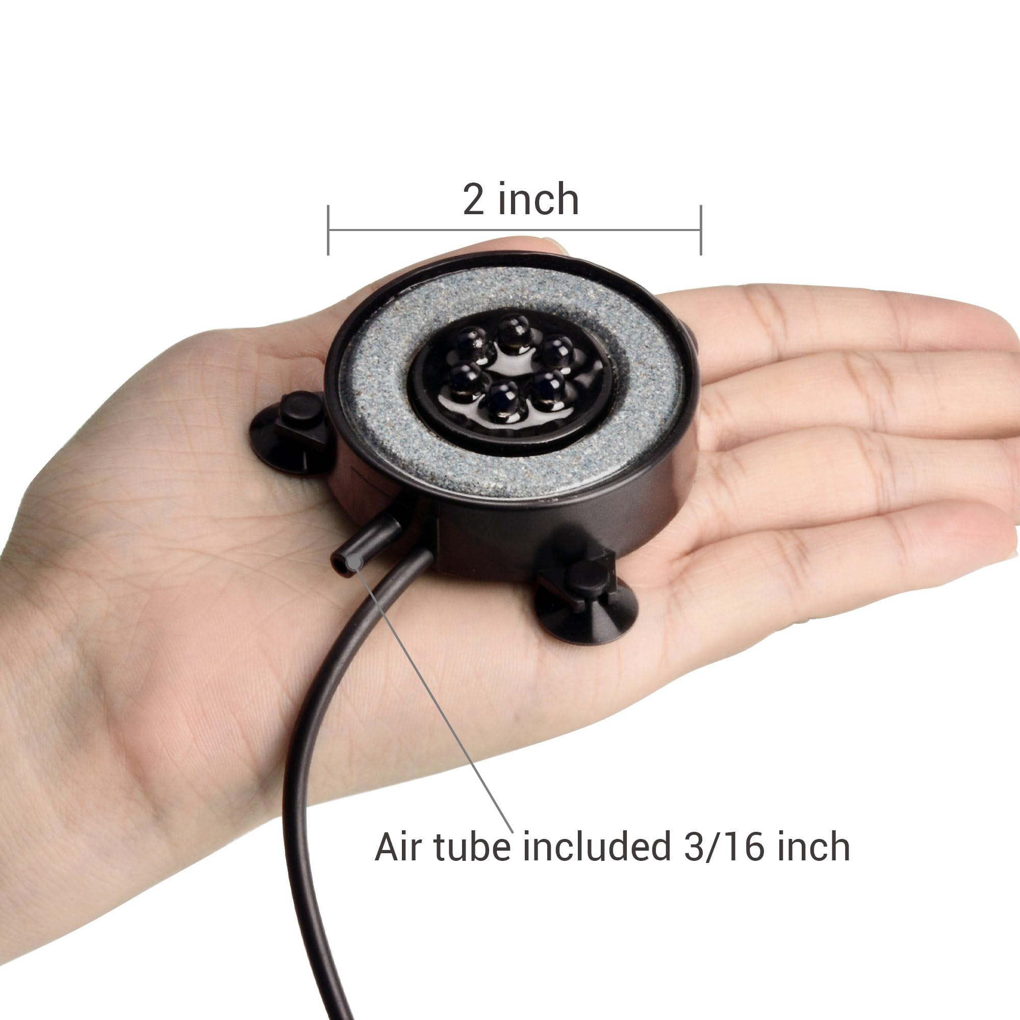 NICREW comparaison taille avec pièce montrant diamètre pratique de 2 pouces