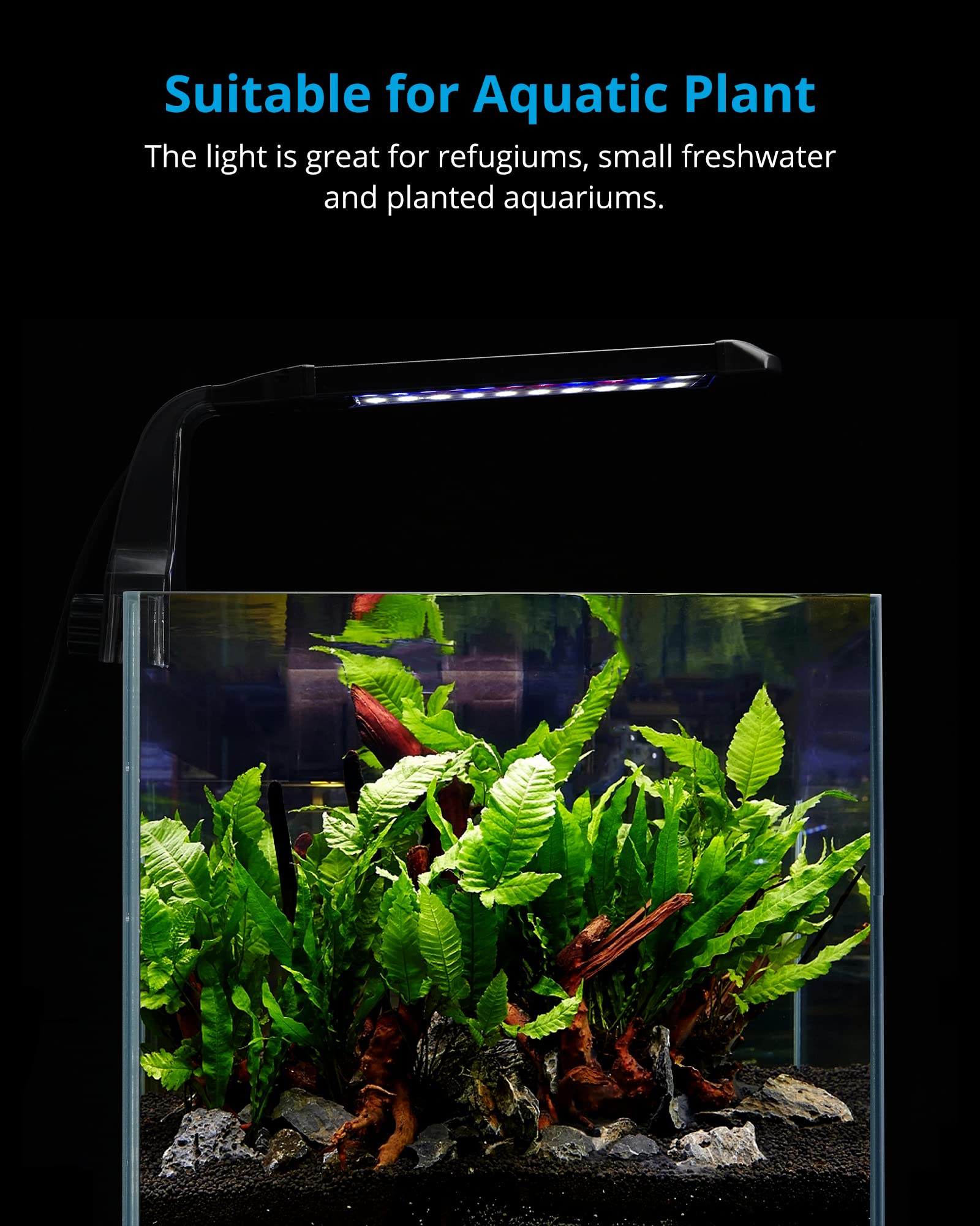 NICREW gros plan des LED blanches, bleues et rouges pour rendu naturel
