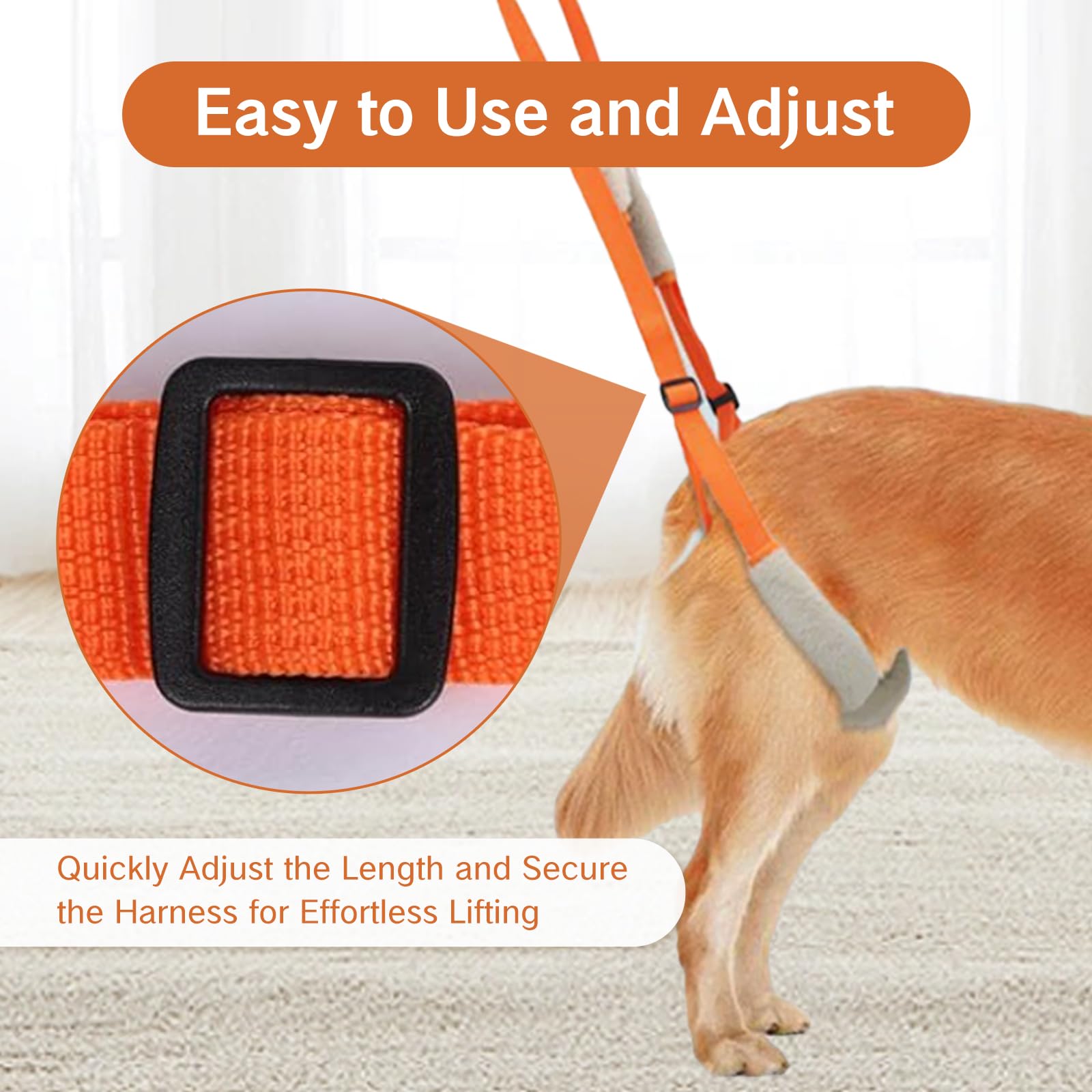 NIIIYTYB chiot en utilisation retrouvant stabilité et mobilité