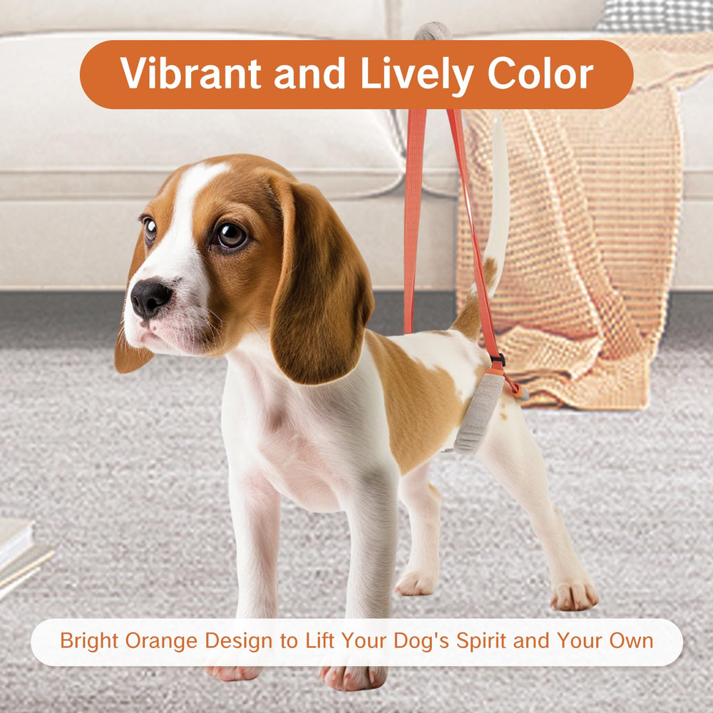 NIIIYTYB coutures renforcées garantissant durabilité et sécurité