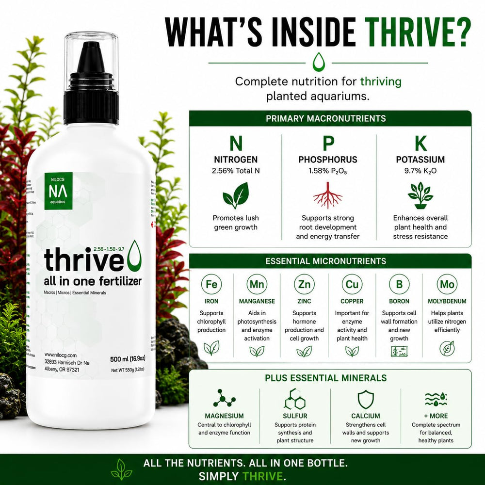NilocG Thrive bouteille comparée à un objet pour visualiser l'échelle et le volume