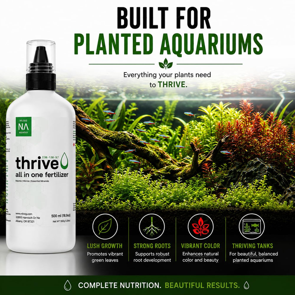 NilocG Thrive aquarium planté luxuriant montrant résultat de croissance saine