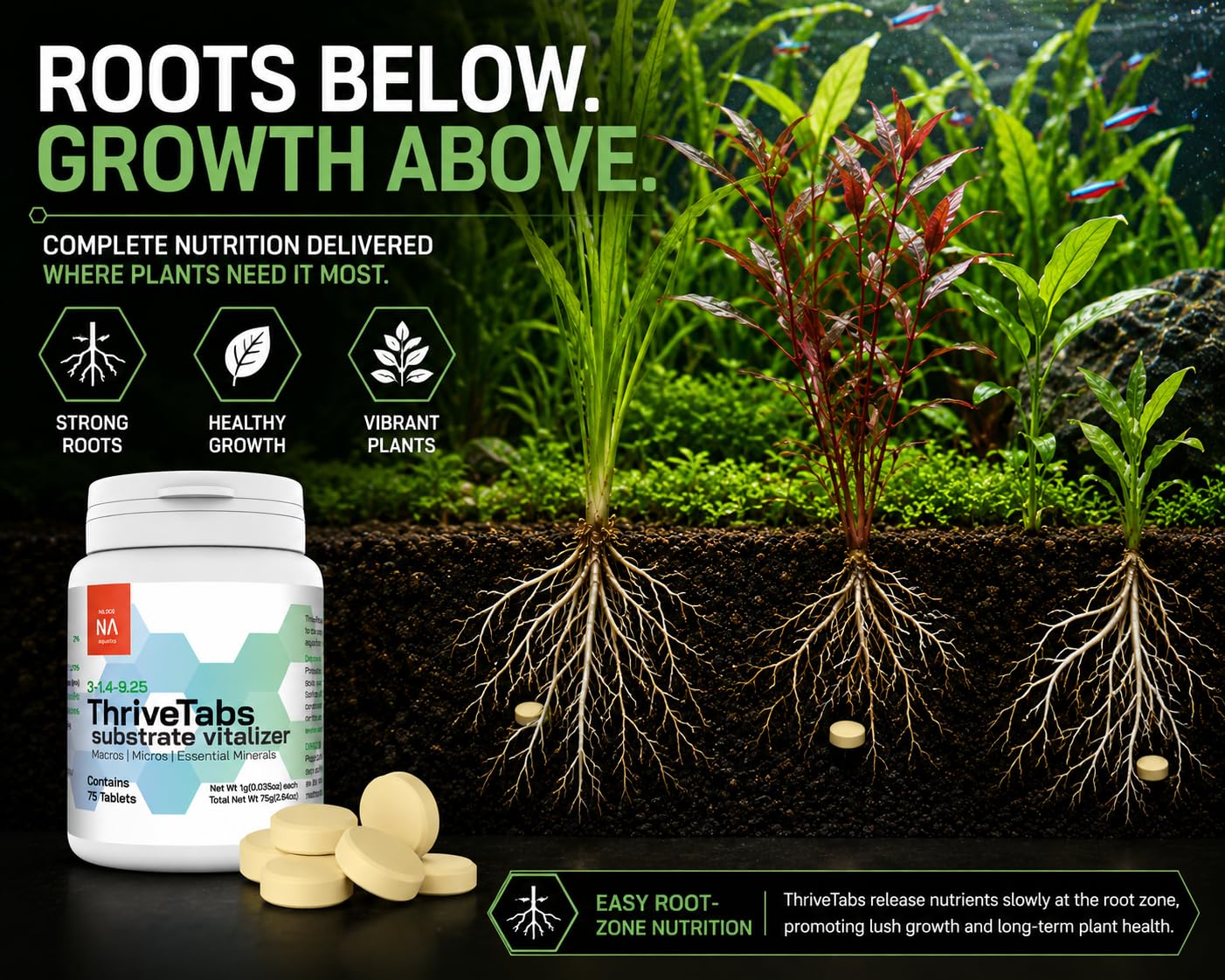 NilocG ThriveTabs en utilisation dans un aquarium planté pour croissance végétale
